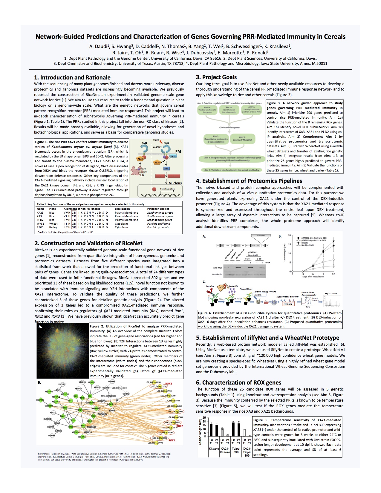Network-Guided Predictions and Characterization of Genes Governing PRR-Mediated Immunity in Cereals poster