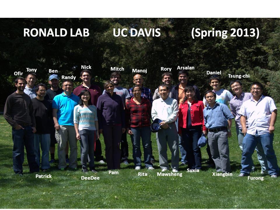 The Ronald Laboratory - Alumni Gallery